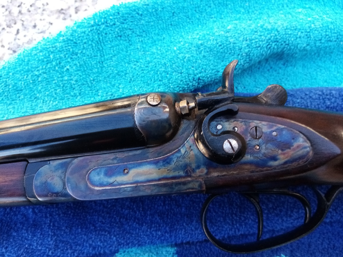 Aya especial perrillos