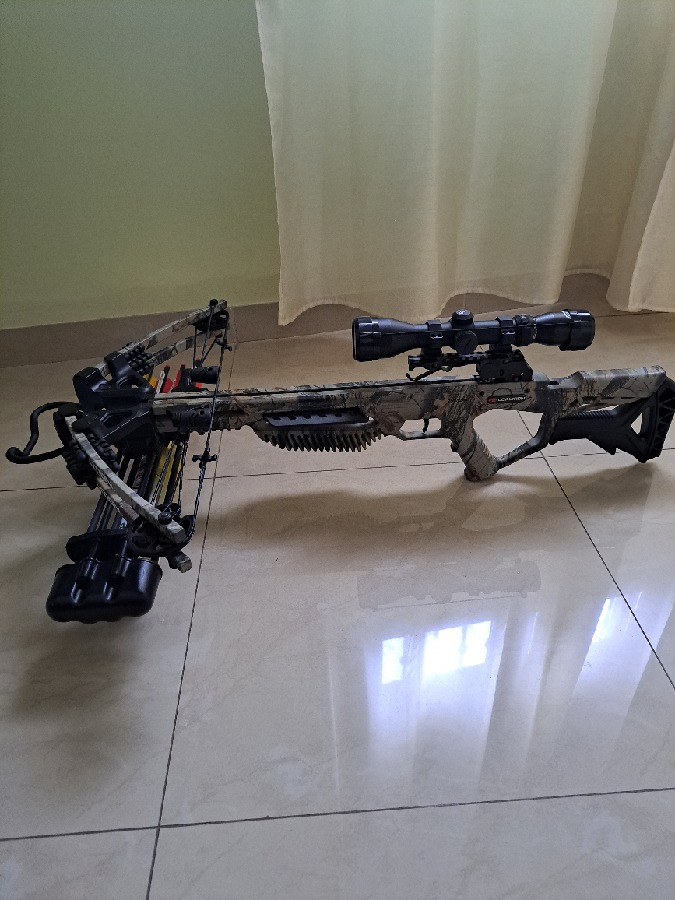 Ballesta pse coalition