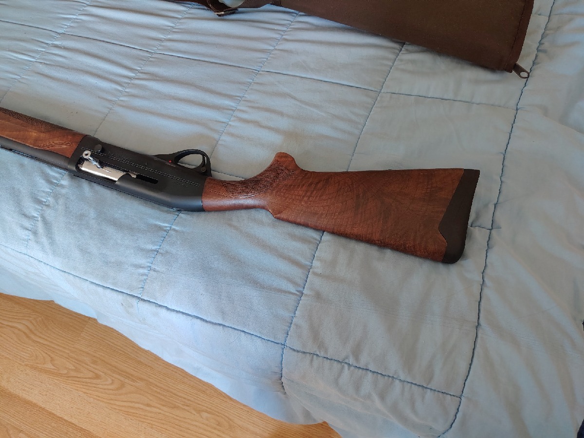 Benelli Belmonte Nueva