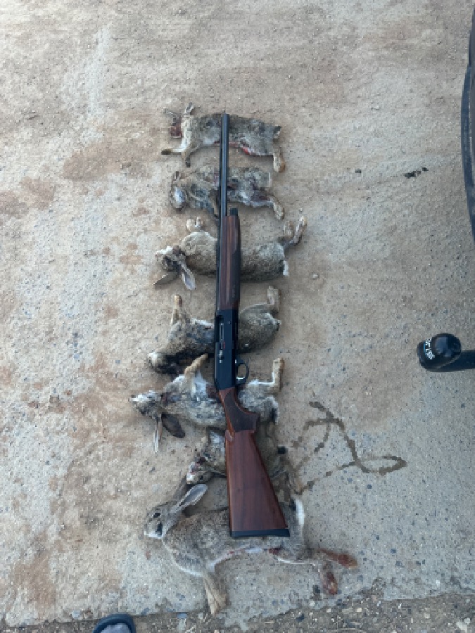 Benelli Centro Crio en perfectas condiciones