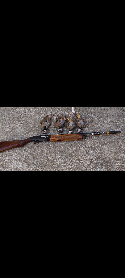 Beretta 303 Repetidora