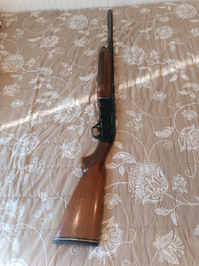 Beretta 303 con funda