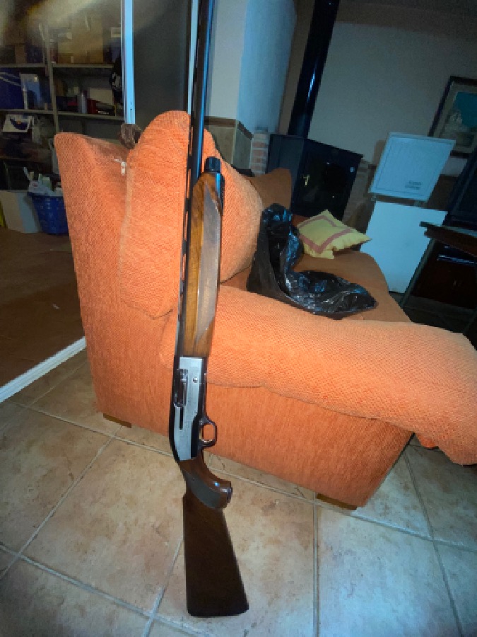 Beretta 390 Sporting