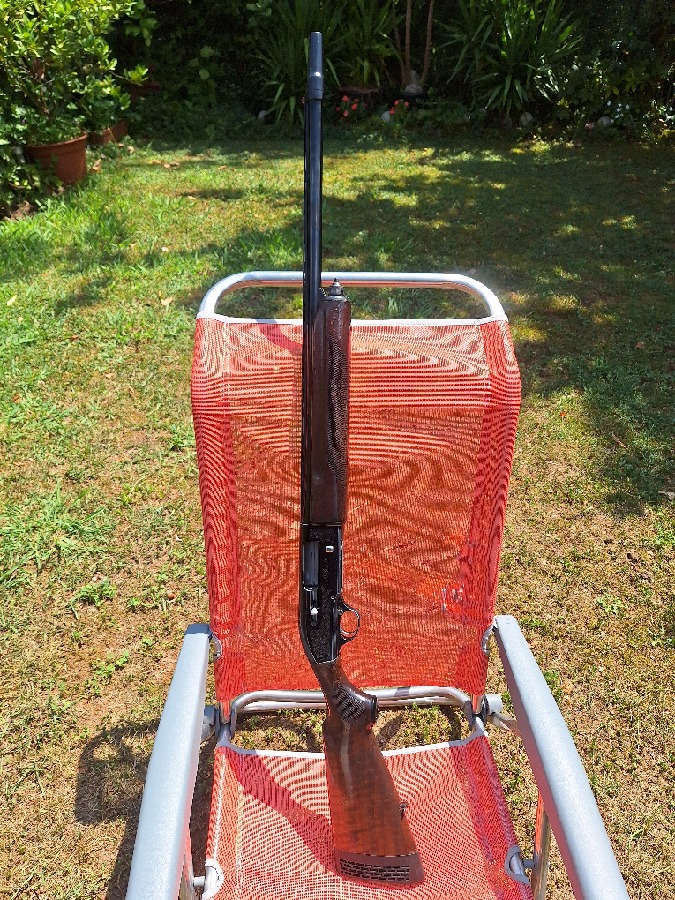 Beretta A301 Calibre 12