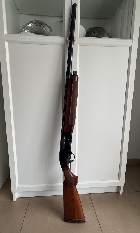 Beretta A303 12/70