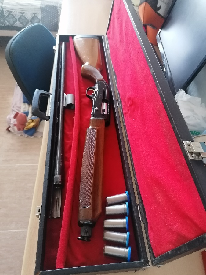 Beretta 303