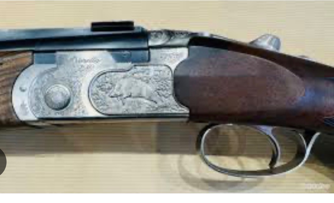 Beretta Silver Sable 2 Express