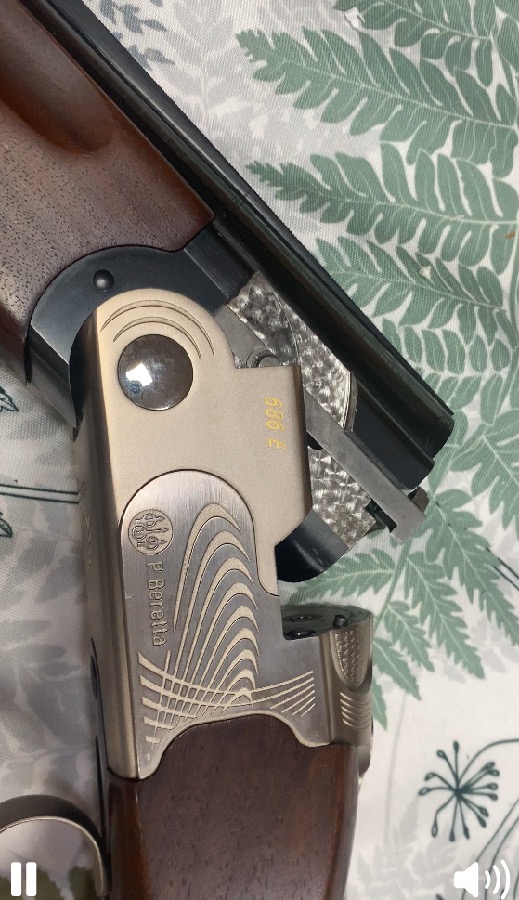 Beretta Sporting 686E