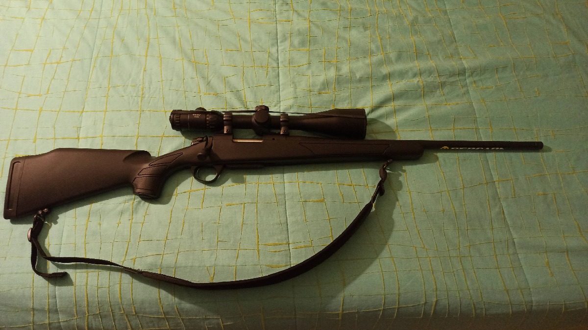 Bergara B-14 Sporter