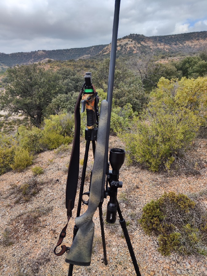 Bergara B14 Wilderness