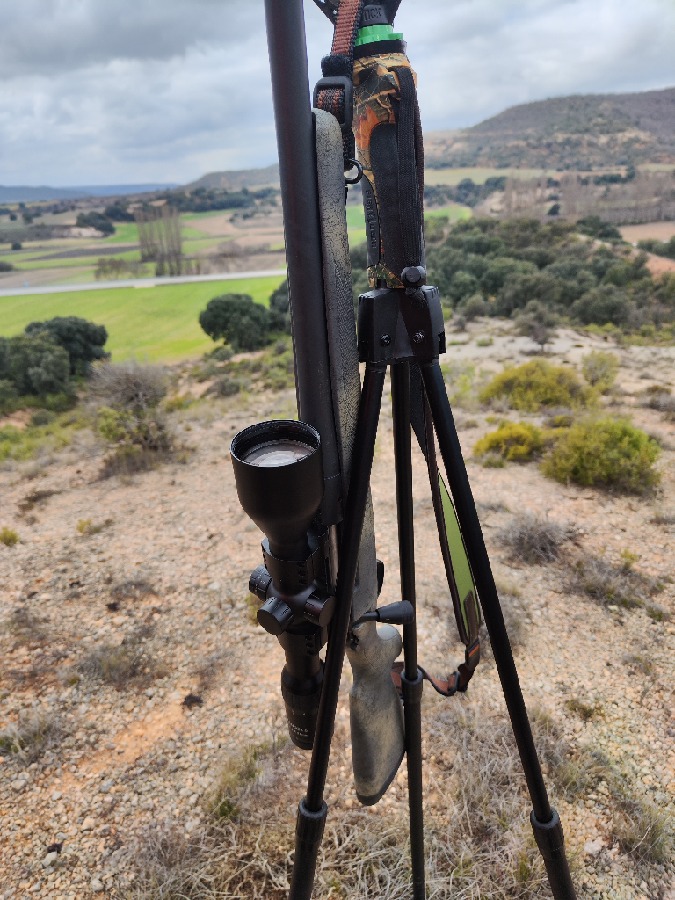 Bergara B14 Wilderness