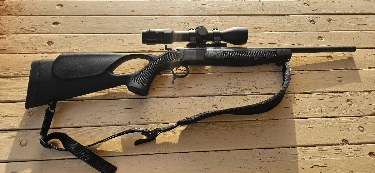 Bergara BA13 243 Win con mira Avistar