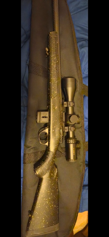 Bergara Carbon 17 HMR
