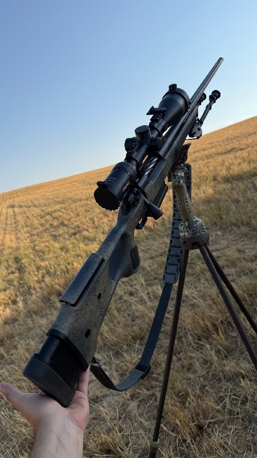 Bergara B14 Wilderness Thumbhole Steel 300WM Steiner 4-32x56 BT
