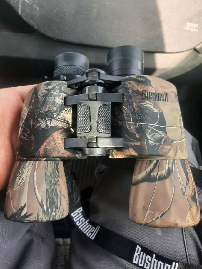 Prismáticos Bushnell