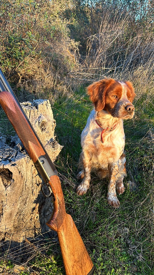 Blaser F16 Caza 76cm Cañón