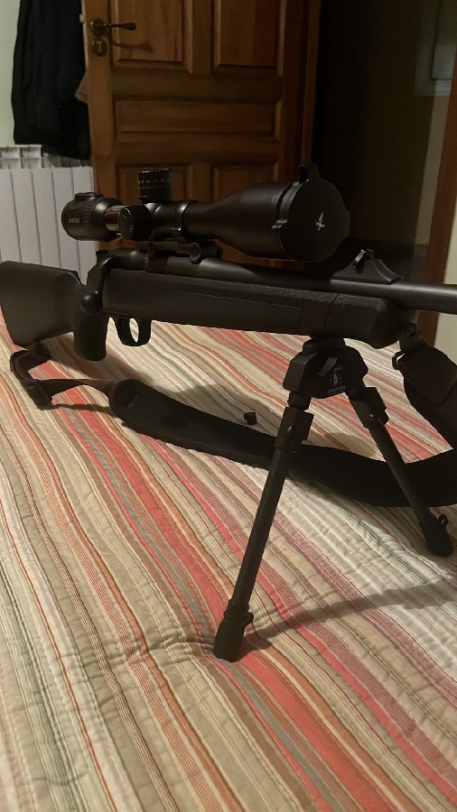 Blaser R8 + Visor Swarovski
