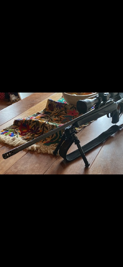 Blaser R8 270 WSM Culata Success