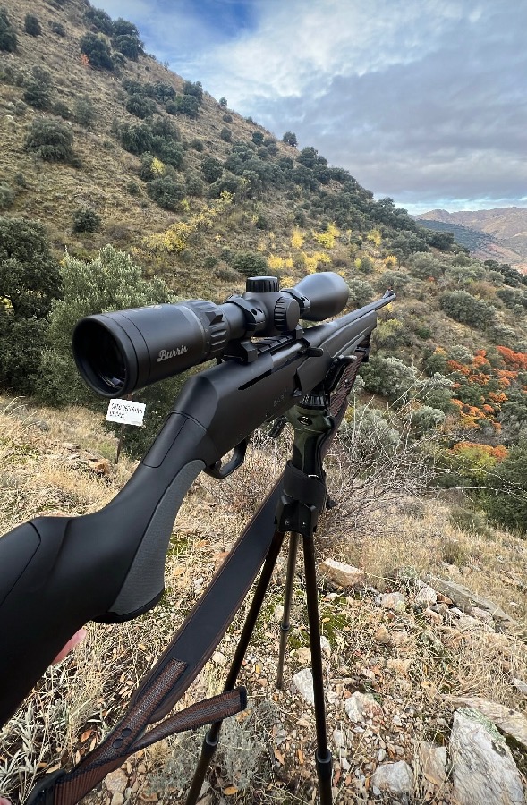 Browning BAR 4 (MK4) Rifle