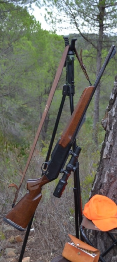 Browning Long Track 