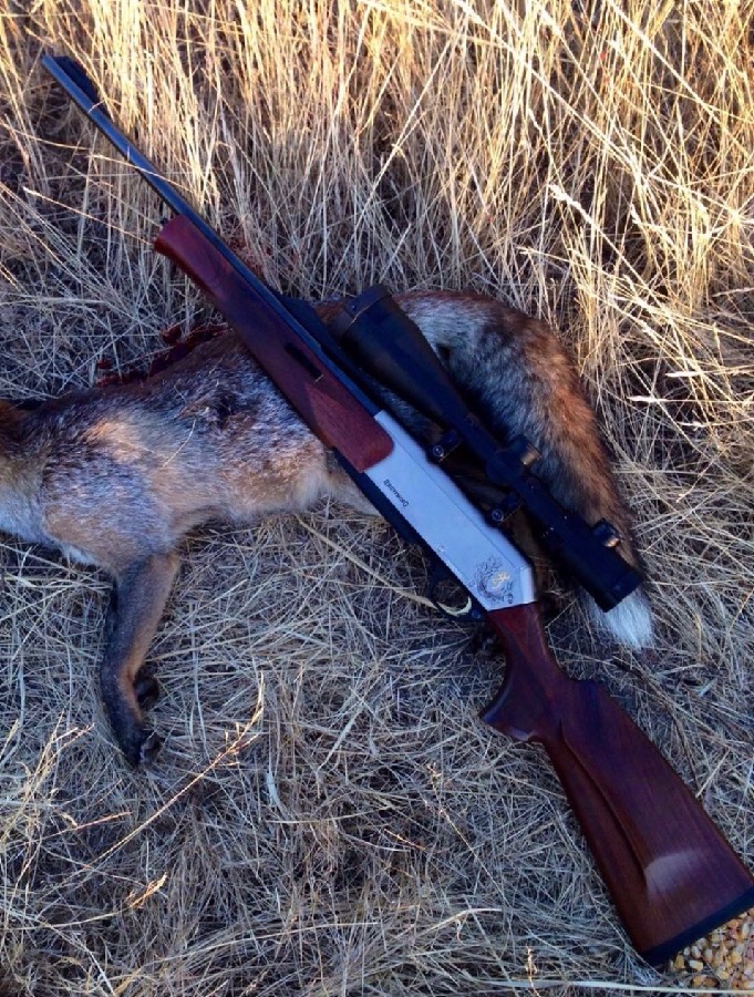 Rifle Browning Long Track con Visor