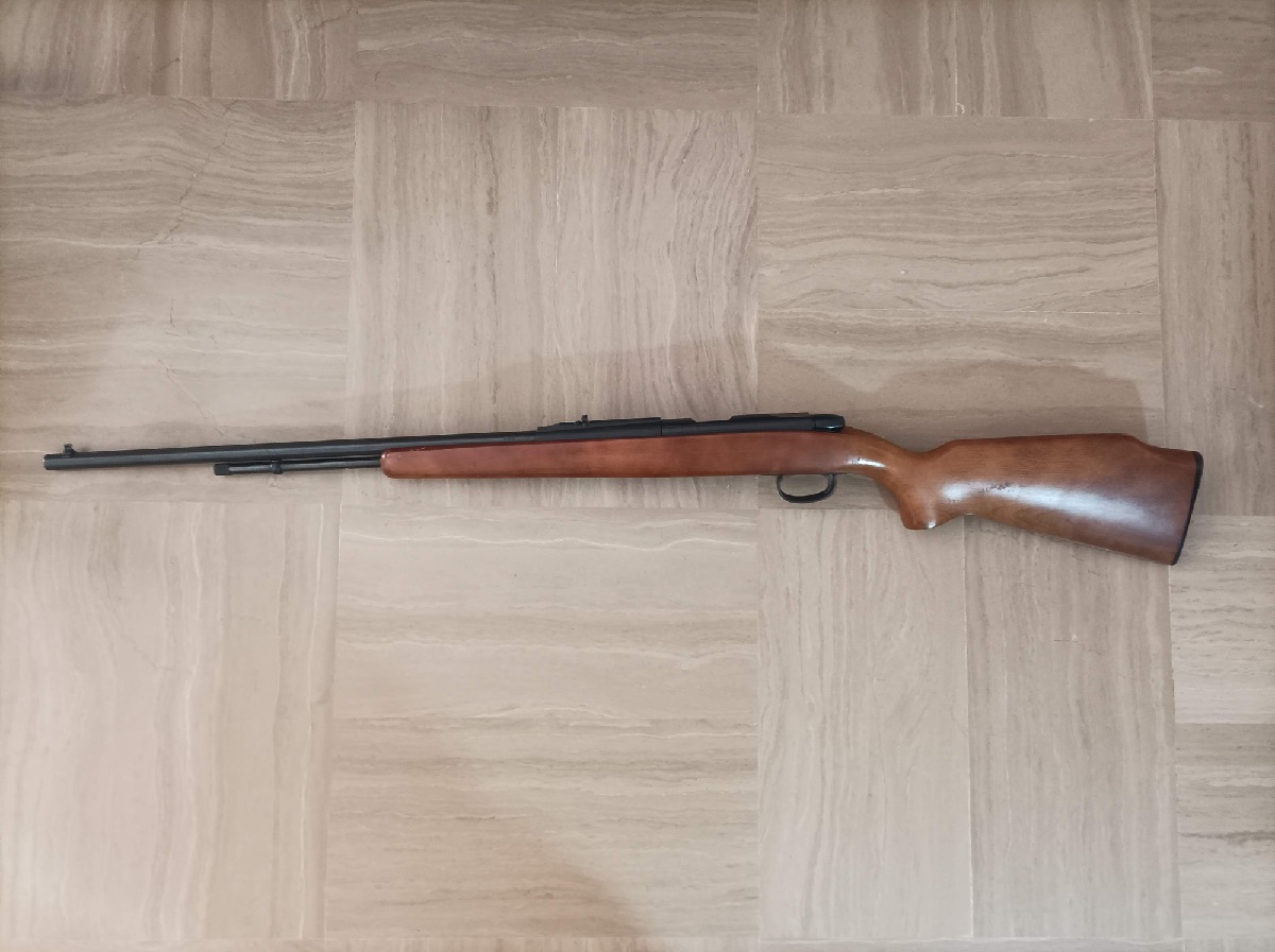 Carabina .22 Winchester