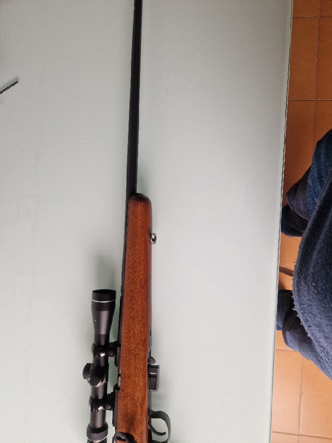 Carabina Norinco JW15 .22 Magnum