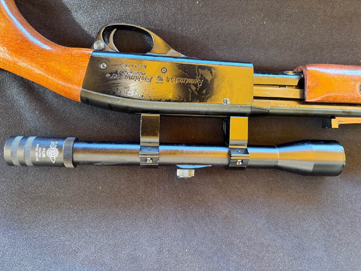 Carabina .22 Remington con Visor Norica 4x25