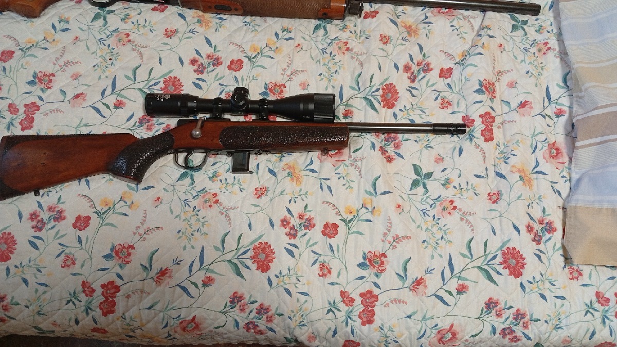 Carabina 22lr Muy Manejable - Marca y Modelo
