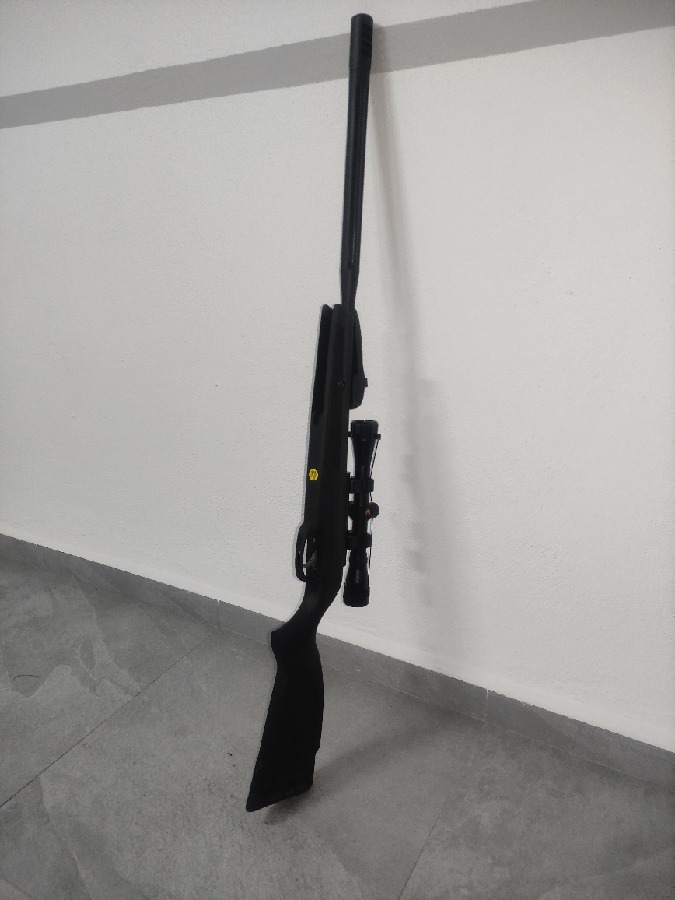 Carabina Aire Comprimido 5.5 Gamo