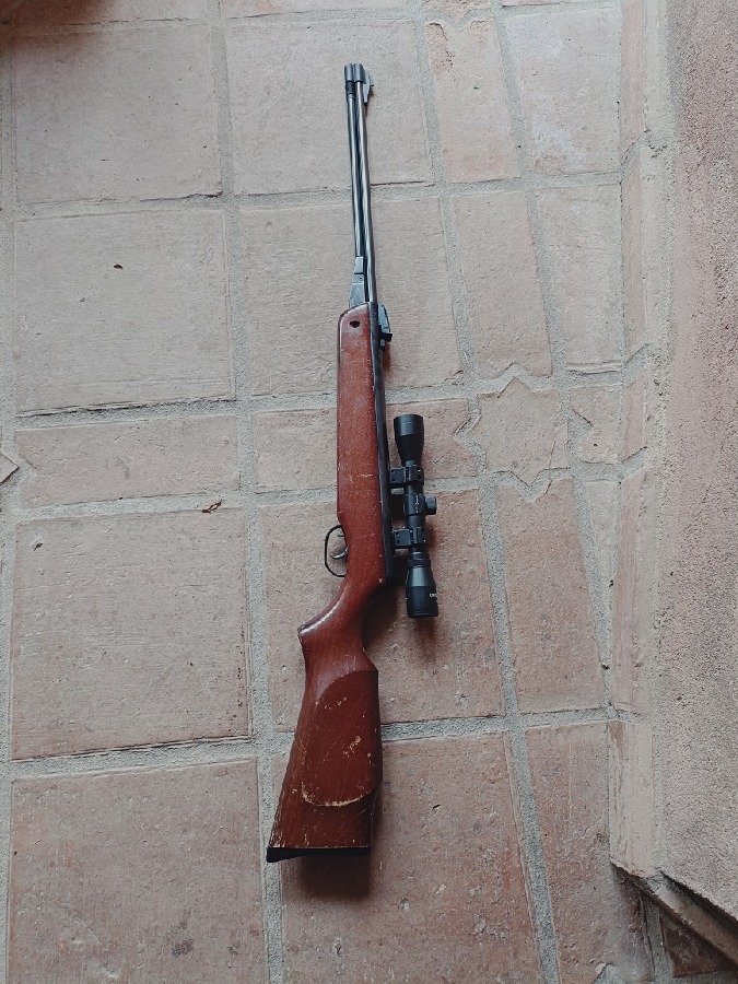Gamo CF20