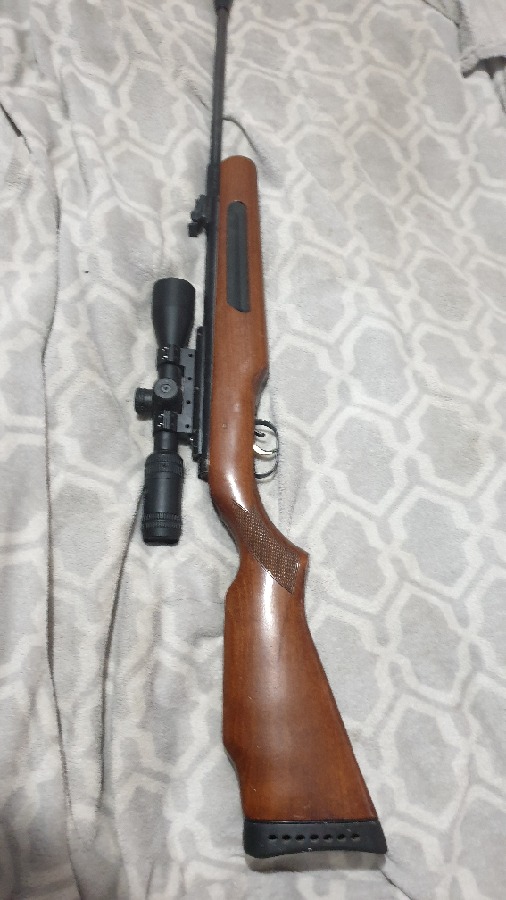 Carabina Aire Comprimido Gamo Maxxima