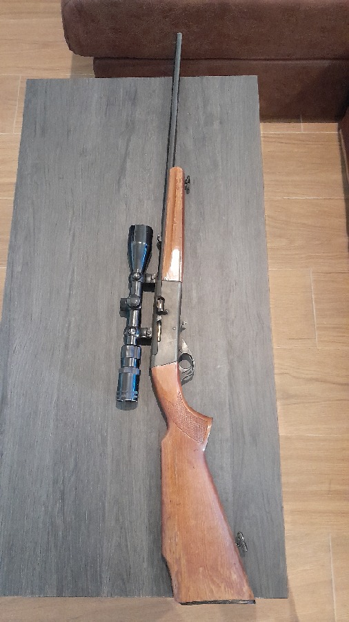 Carabina Anschutz .22