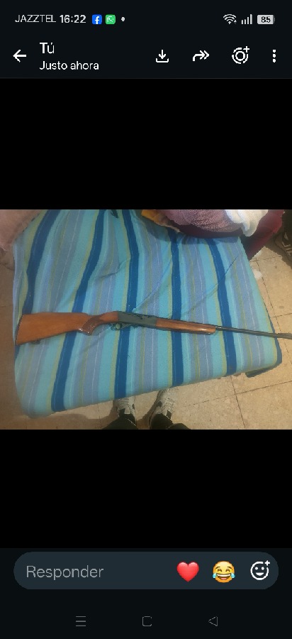 Rifle Semiautomático Anschutz Calibre .22
