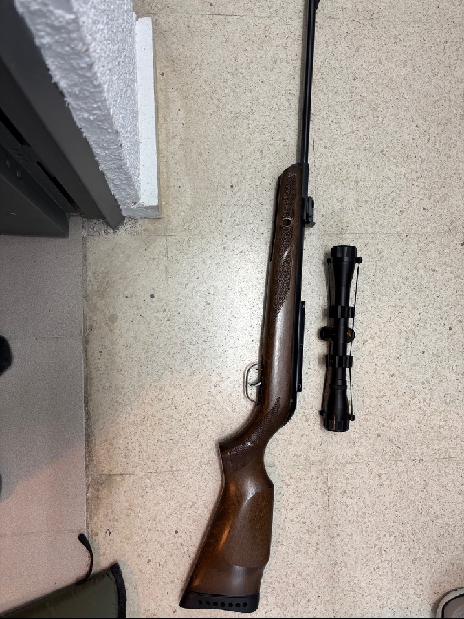 Carabina de Aire Comprimido con Mira