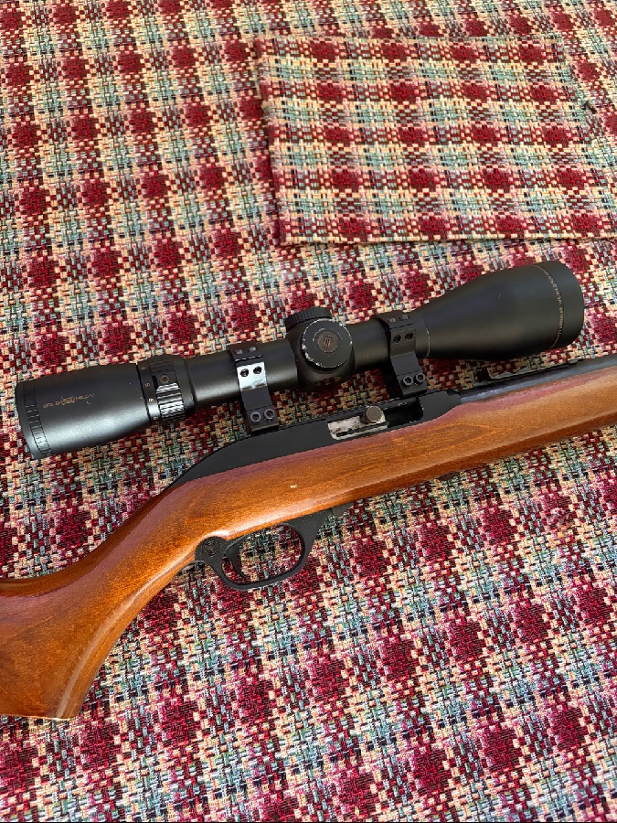 Carabina del 22 con mira Nikko Stirling