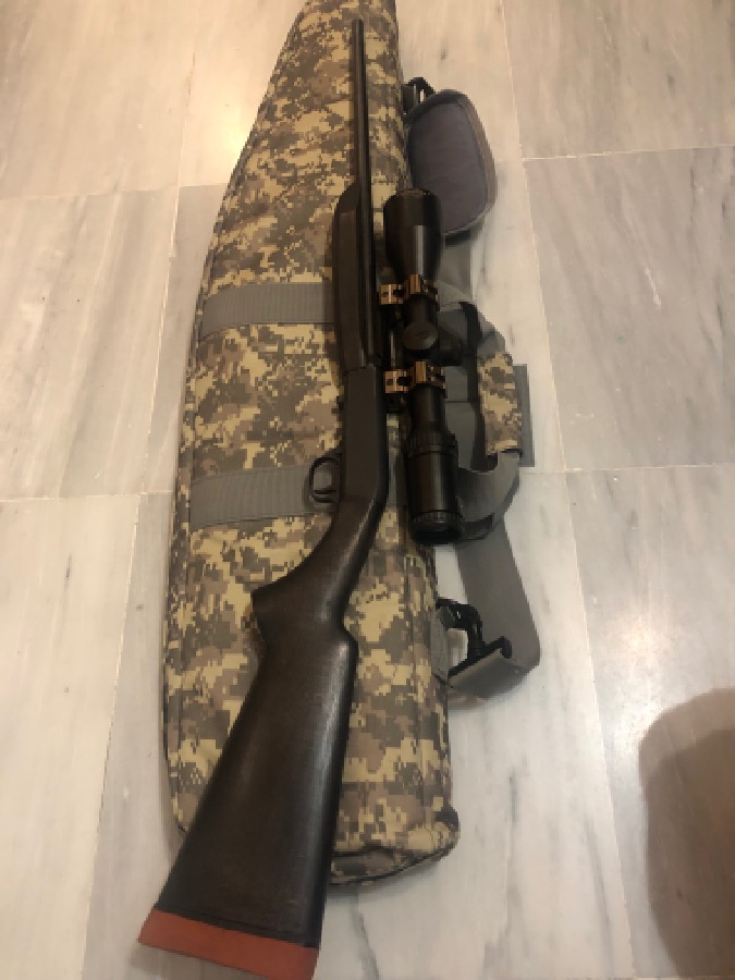 Browning sa-22 desmontable