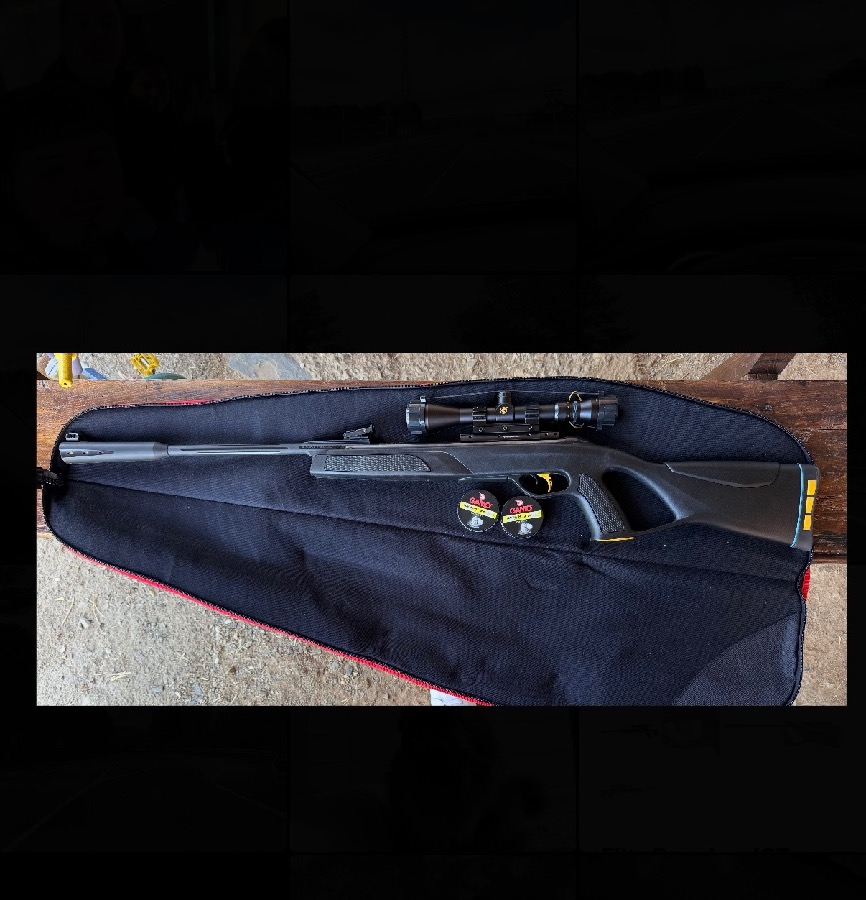 Carabina Gamo élite premium igt