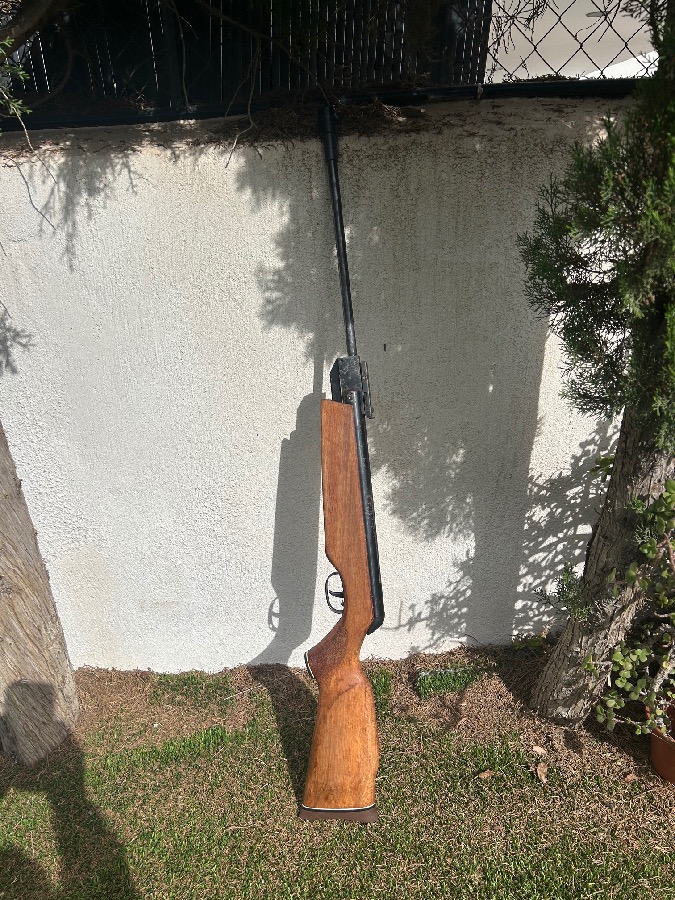 Carabina Gamo Magnum 4.5
