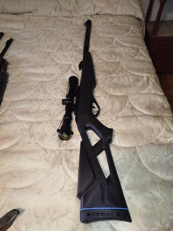 Gamo Whipper