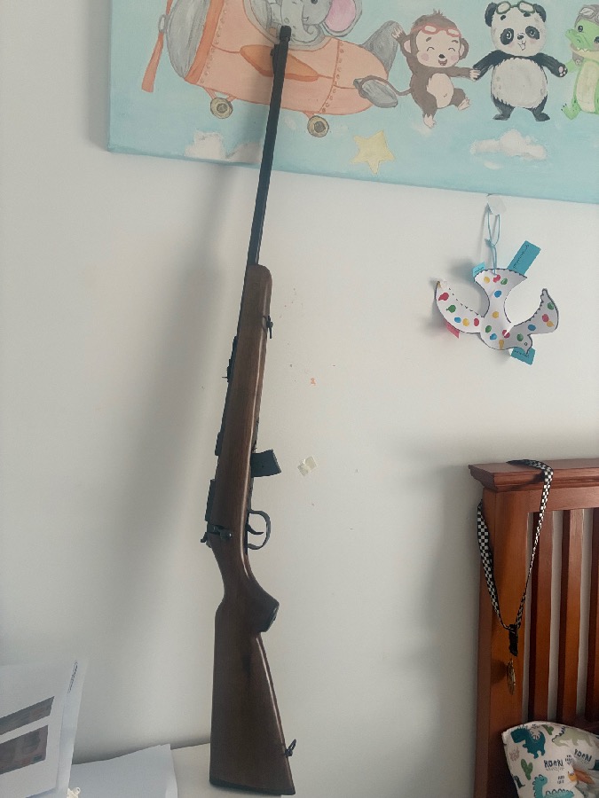 Carabina Norinco JW 15 A 22LR