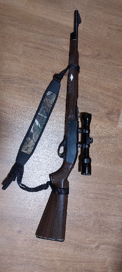 Carabina Remington 22LR