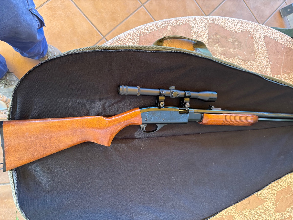 Carabina Remington Calibre .22