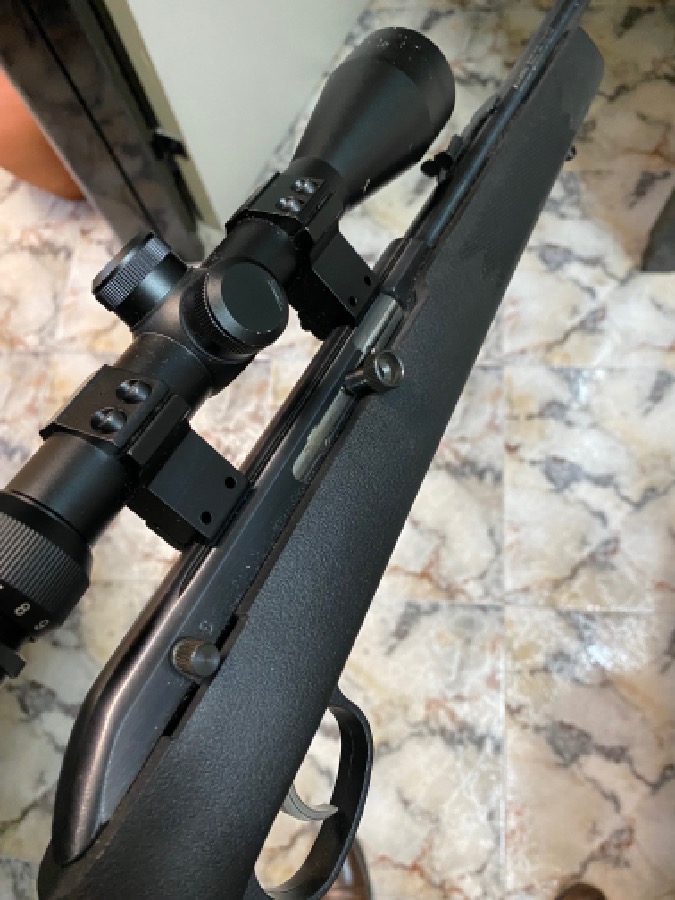 Savage 64 con Visor Zasdar