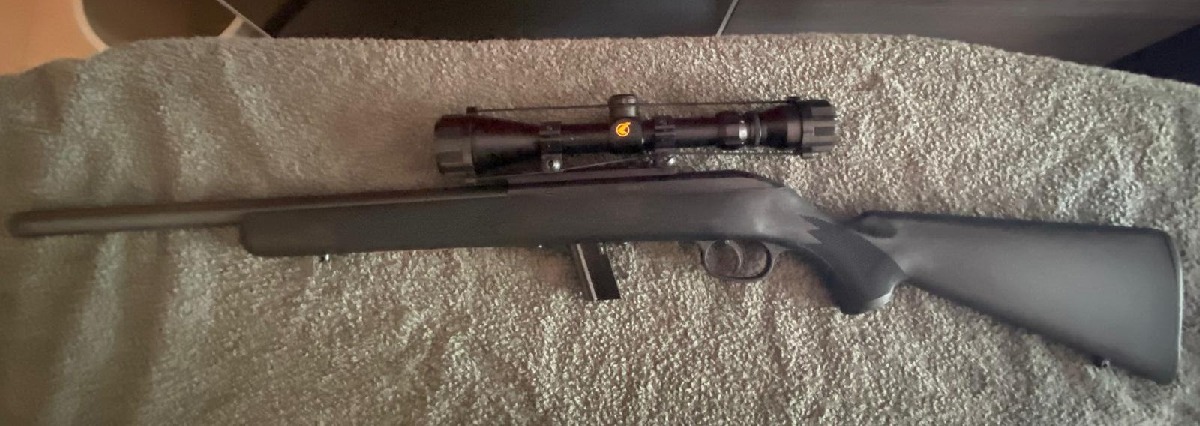 Carabina Semiautomática Savage 64 FV-SR | Cal. .22 LR