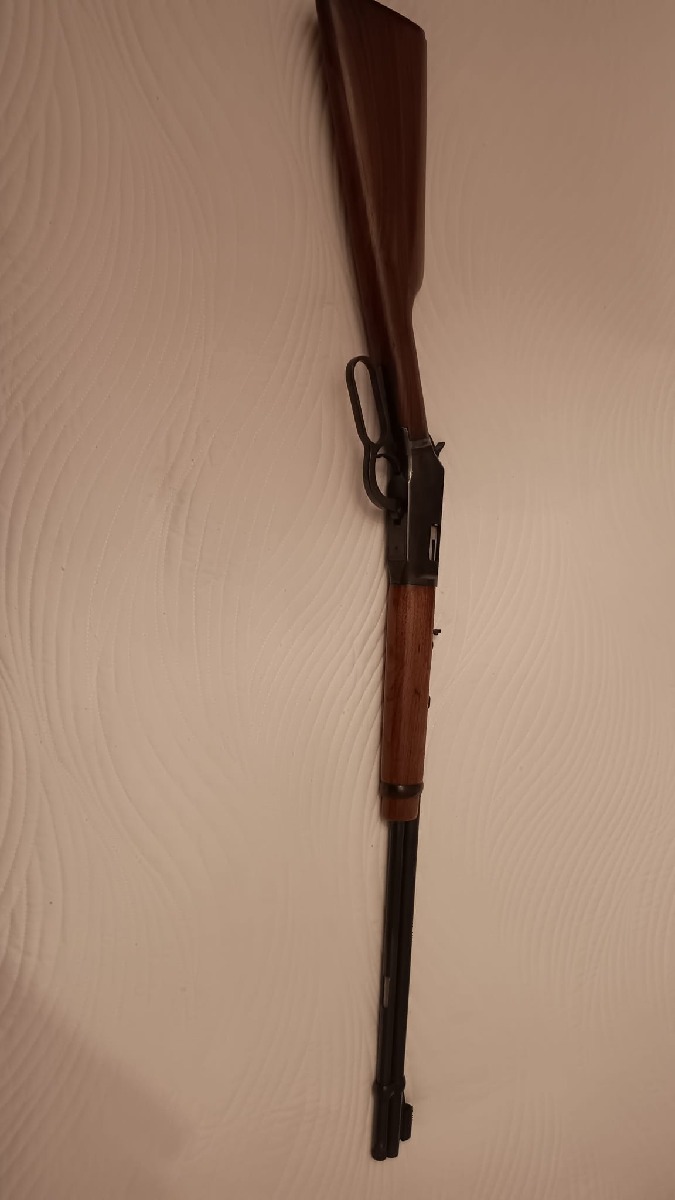 Carabina Winchester .22