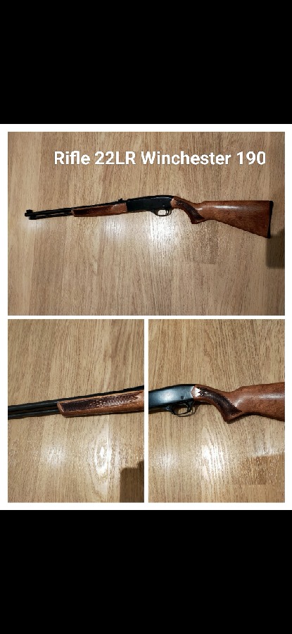 Winchester 190