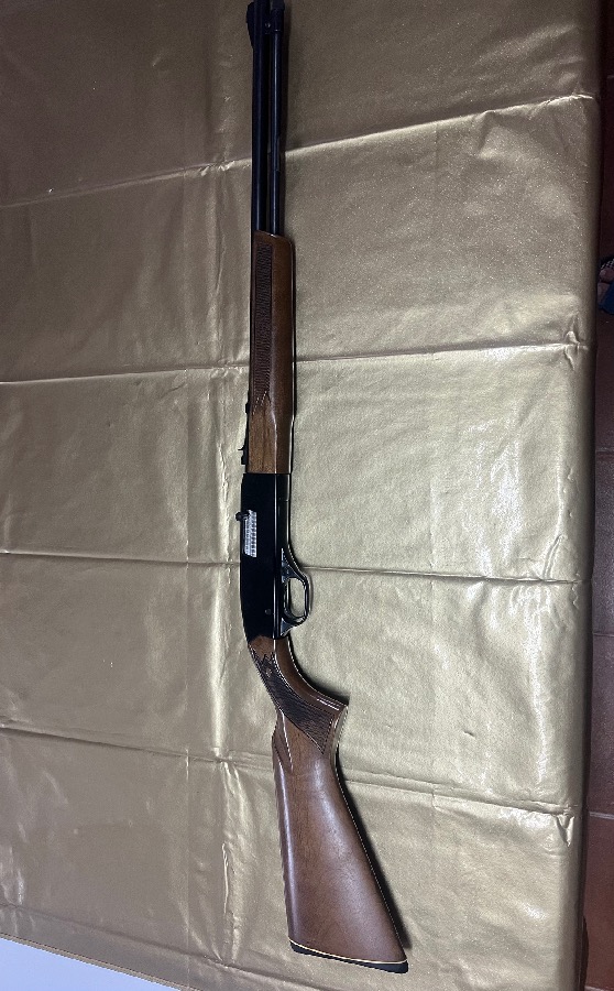 Carabina Winchester Modelo 290