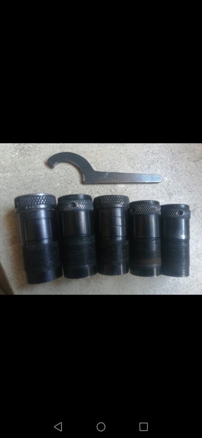 Cinco Polichokes Laurona