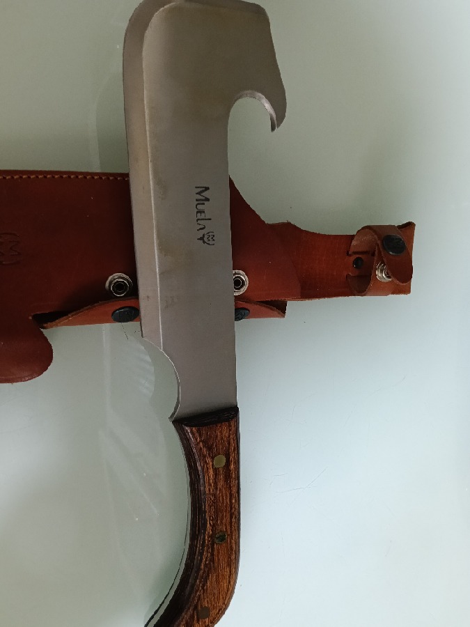 Cuchillo Muela Nunca Se Utilizó